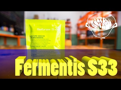 Fermentis S33 - Se vai fazer cerveja BELGA, assista esse vídeo.