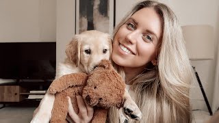 NEW PUPPY HAUL | WHAT I HAVE BOUGHT FOR OUR 8 WEEK OLD GOLDEN RETRIEVER PUPPY