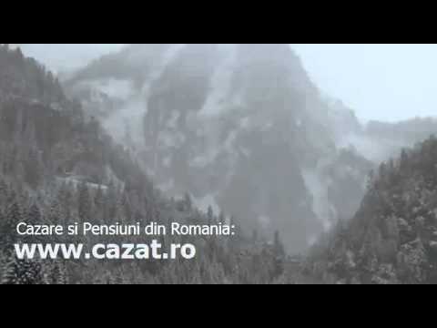 Cazare Beregsau Mic, Timis - Cazat.ro