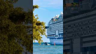 Icon of the Seas 🛳️ #royalcaribbean #vacation #shortvideo #shortsvideo #shorts #trendingshorts #yt