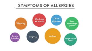 Grass Allergies Lecture 4