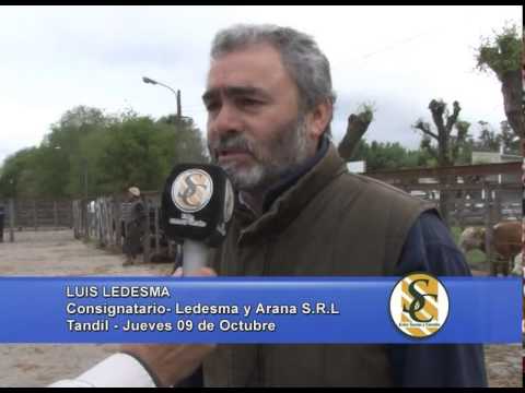 Ledesma y Arana S.R.L. - Nota Luis Ledesma - Tandil - 09/10/2014