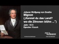 Johann Wolfgang von Goethe: Mignon (1803 ...