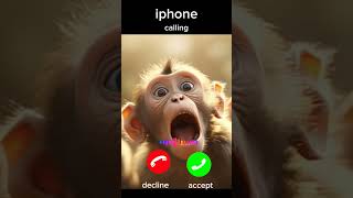 Download lagu monkey calling #ringtone #iphoneringtone #shorts mp3 Download lagu monkey calling #ringtone #iphoneringtone #shorts mp3