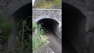 preview picture of video 'Terowongan kawah gunung Kelud...'