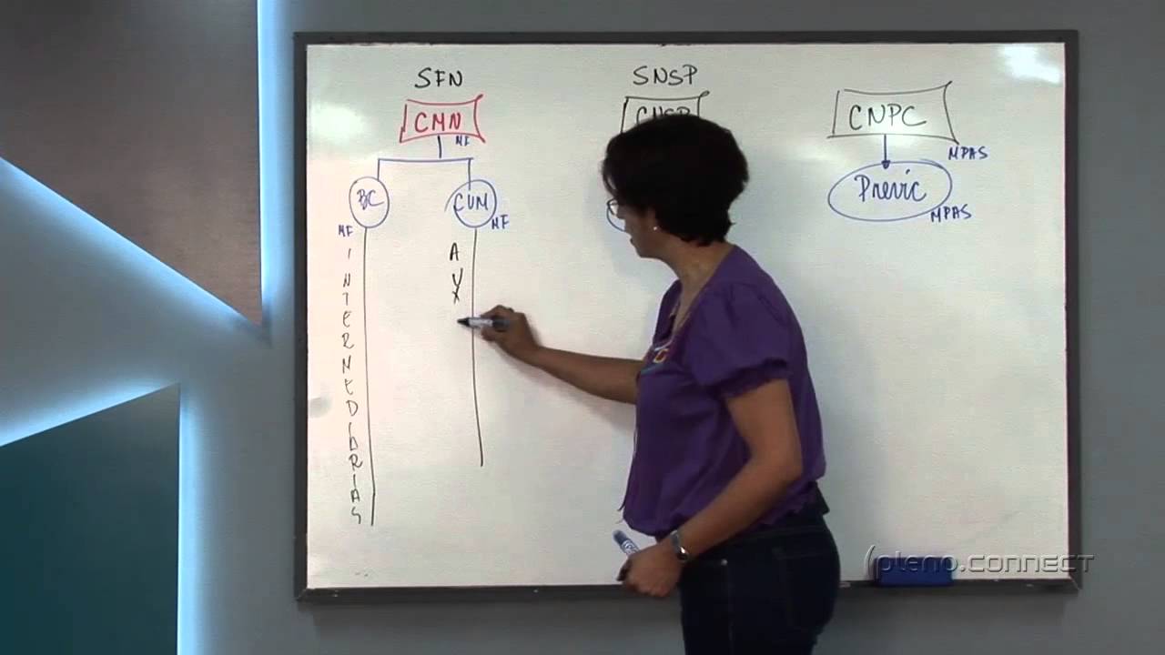 Curso de Exercícios   Seguros, Previdência e Capitalização