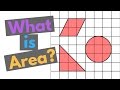 What is Area?