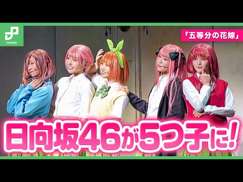 2025/3/8 舞台「五等分の花嫁」開幕、日向坂46演じる五つ子が歌って踊って風太郎を振り回す のサムネイル