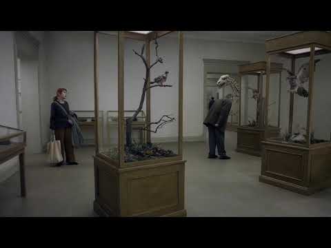 A Pigeon Sat on a Branch Reflecting on Existence | Opening Scene