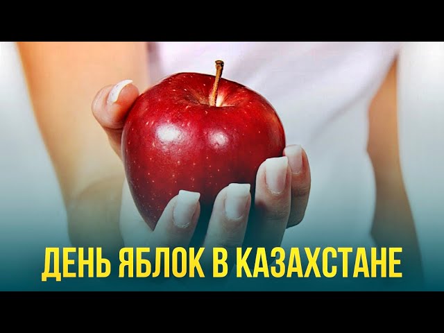 Главные новости 20.10.2023 г.