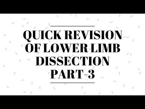 QUICK REVISION OF LOWER LIMB DISSECTION FOR ANATOMY VIVA / PRACTICAL PART-3 - BY DR MITESH DAVE