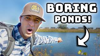 5 Fishing Tips For BORING Ponds!