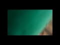 TheVideoLover Archives The Karate Hedgehog