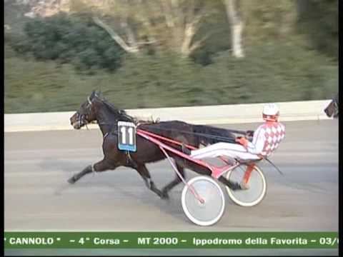 4^ CORSA  del 3 FEBBRAIO 2017