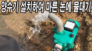 모내기 한 논에 흙이 드러날 정도로 심각한 가뭄... 양수기 설치하여 마른 논에 물 대기 WATER PUMP…
