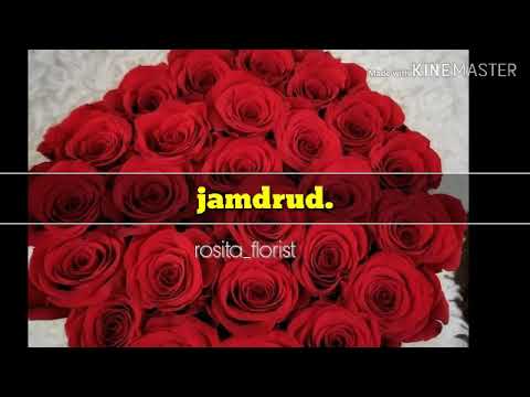 download lagu mp3 mp4 Download Mp3 Jamrud Mawar Merah, download lagu Download Mp3 Jamrud Mawar Merah gratis, unduh video klip Download Mp3 Jamrud Mawar Merah
