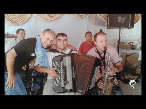 Ljubisa Djordjevic - Kolo in valje turturalje UZIVO