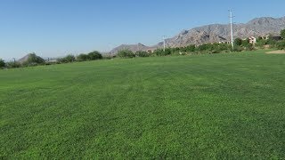 Las Vegas Parks: Knickerbocker Park Walk Thru w/Dog Area (Providence)