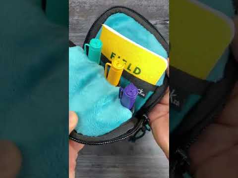 Saffron-Peacock Sinclair Model R music video