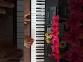 Suga Raagame Keyboard Ilaiyaraja Janagaraj Rare Hits Kanni Raasi