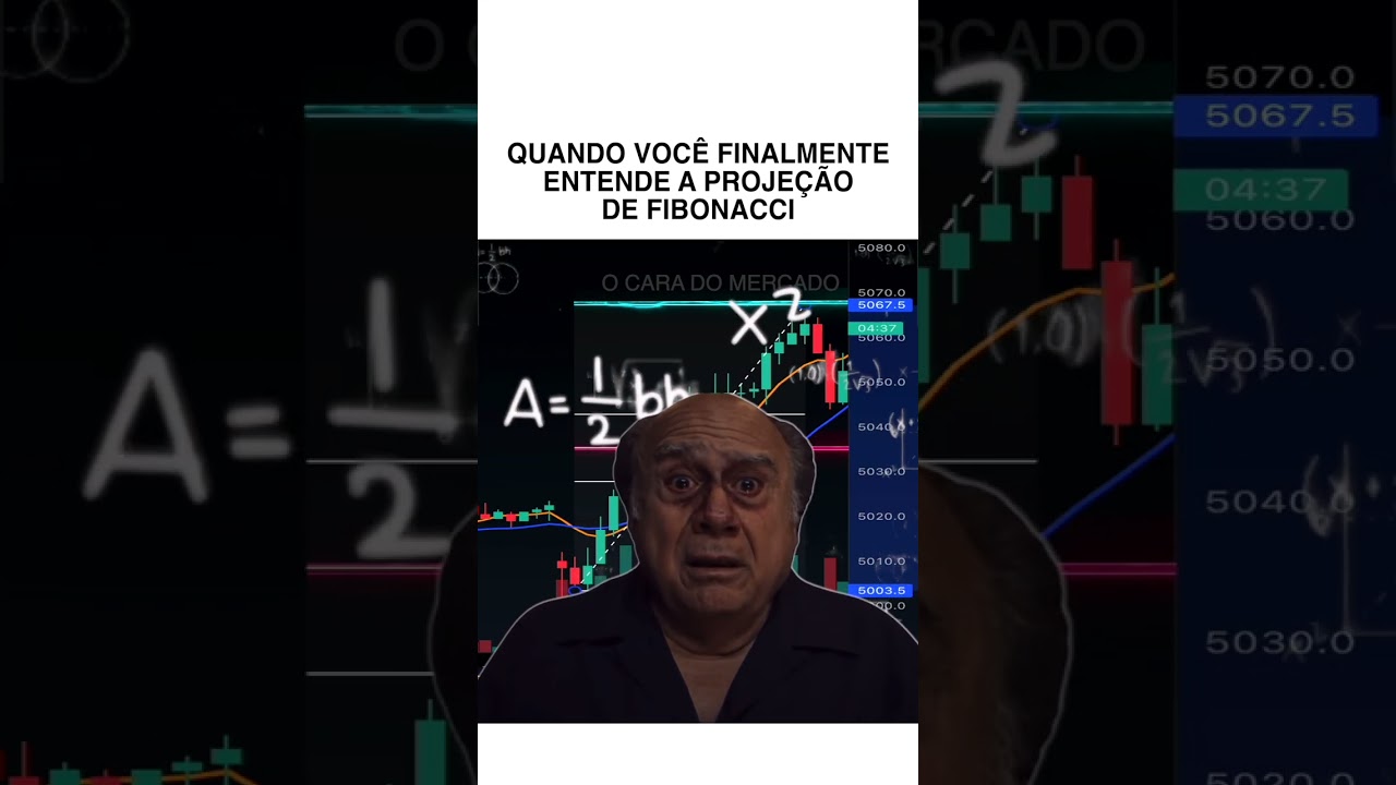 QUANDO VC ENTENDE FIBO 🙌