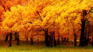 Sad Song [Alexandre Desplat - The Danish Girl]