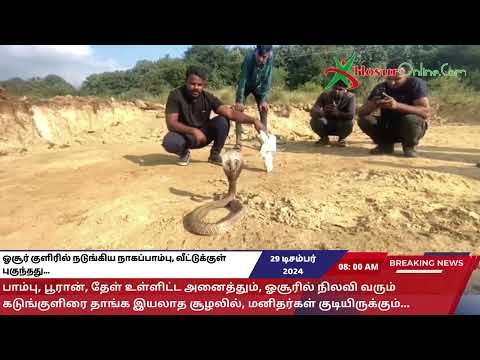ஓசூர் குளிரில் நடுங்கிய நாகப்பாம்பு, வீட்டுக்குள் புகுந்தது