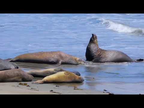 Top   100   Places   To   Visit   In   The   USA       4K Travel Guide