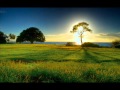 Kailash - Walking Tree 