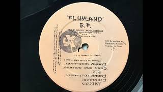 Fluxland - Funky Wah-Wah. Rule Music Publishing
