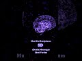 Recharge Your Brain In 1 Minute 8D Music Of Deep Focus And Relaxation
