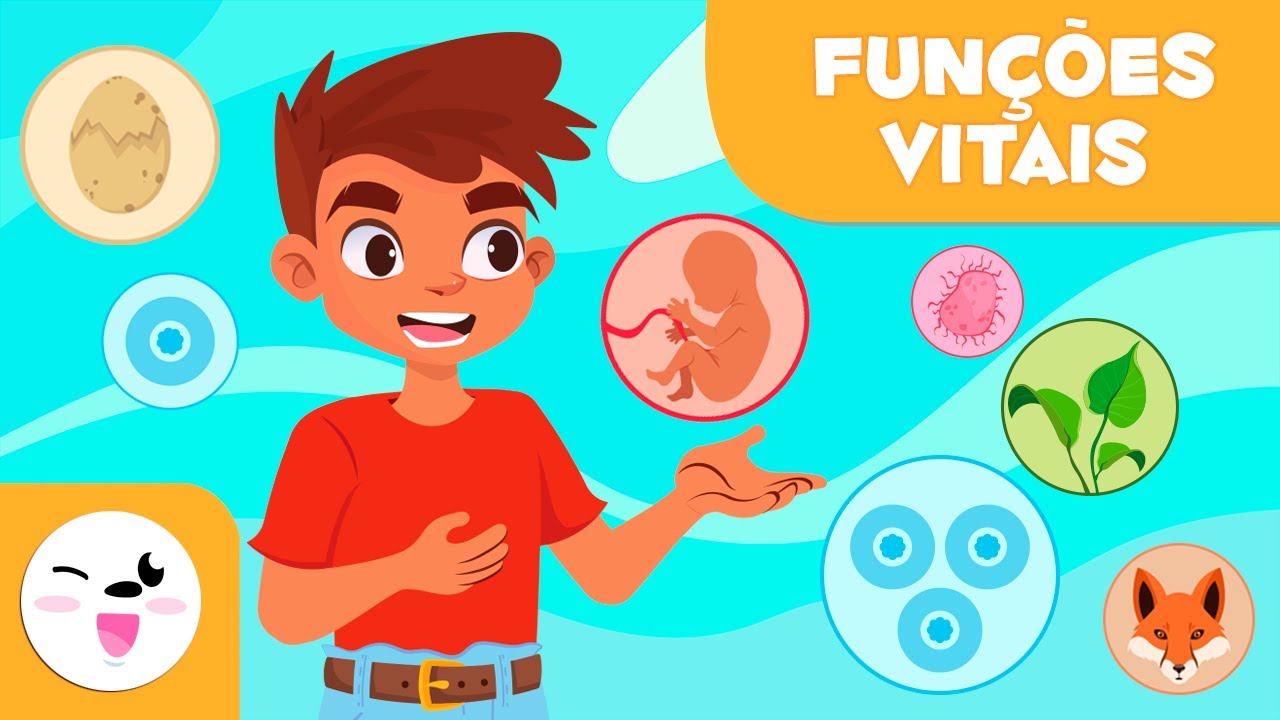 As Funções Vitais dos Seres Vivos - Relação, nutrição e reprodução - Ciências para crianças