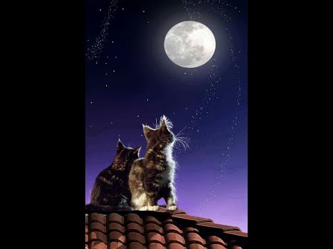 Nyt aika mennä nukkuun ja mukavaa alkavaa viikkoa kaikille