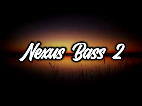 Ty James - Ray Gunz & Bad B*tches (Bass Boosted)