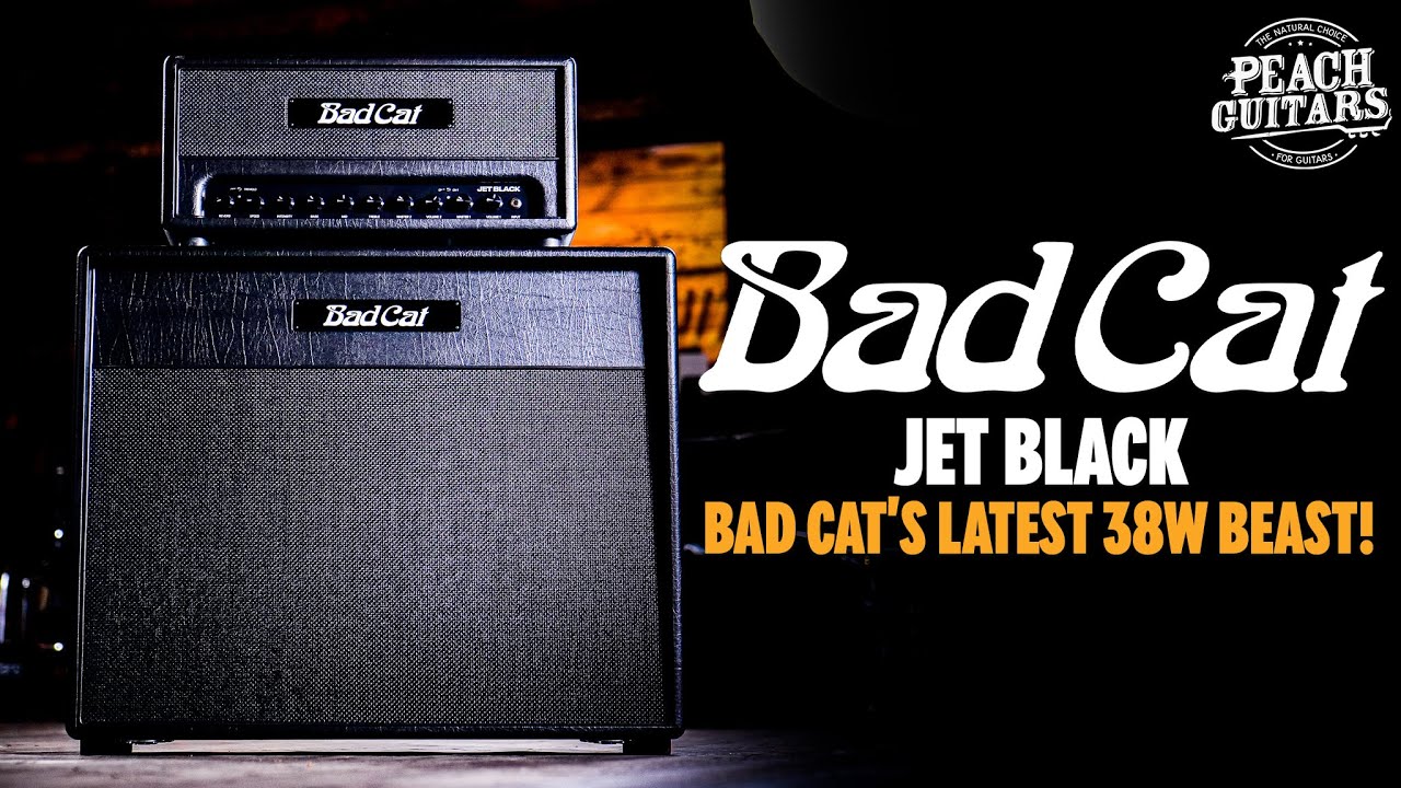 Wir stellen vor: The Bad Cat „Jet Black“ | Das neueste 38-W-Biest von Bad Cat!