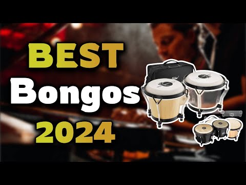 Top Best Bongos in 2024 & Buying Guide - Must Watch Before Buying!