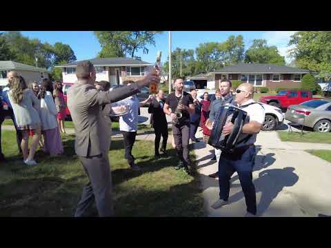 Dojde Kumot  - The young godfather arrived