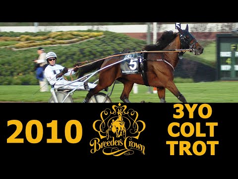 2010 Breeders Crown - Break The Bank K - 3YO Colt Trot