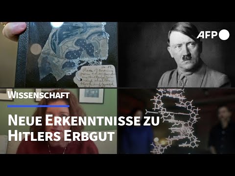 Hodenhochstand: Hitlers Erbgut offenbart brisantes Geheimnis | AFP
