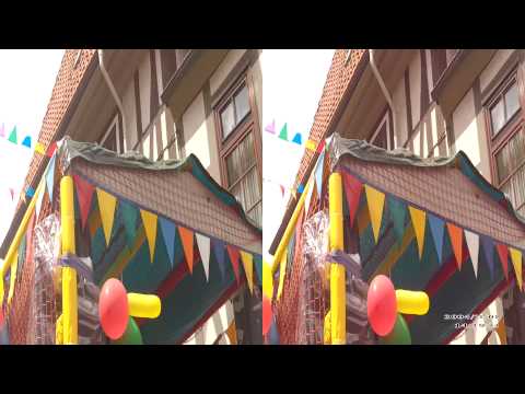 Stadtfest  Hildesheim  2014  :  Der  Festumzug  ; 3 D