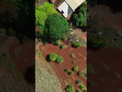 “Minas Gerais é lindo!” 💚🔥 Curvelo/MG #MinasGerais #VidaNoCampo #DroneView #NaturezaBrasil