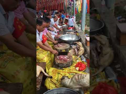 Yulin Dog Meat Festival in China😱😱😱😱