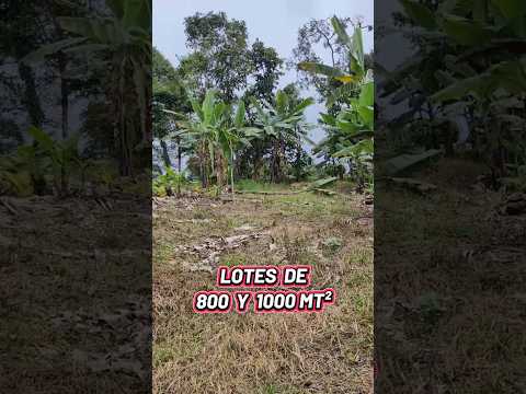 LOTES EN VENTA #lotesparaventa#fincaraiz  #lotes #lotesenventa  #terrenos #cundinamarca
