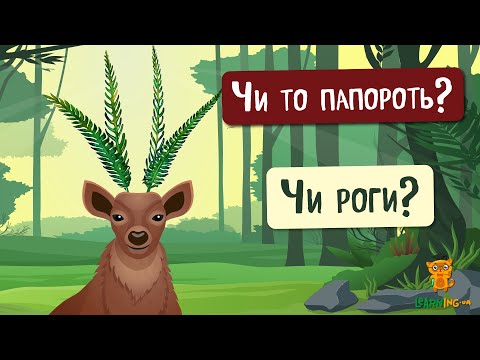 🍀 Дива природи. Явища навколо нас. Папороть Оленячий ріг (Platycerium) 🌏