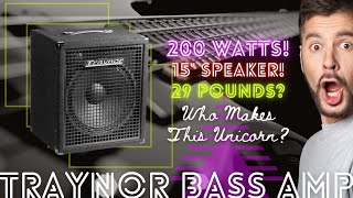 Video thumbnail for Traynor SmallBlock 115 Bass Amp by The Hardwired Music Maker