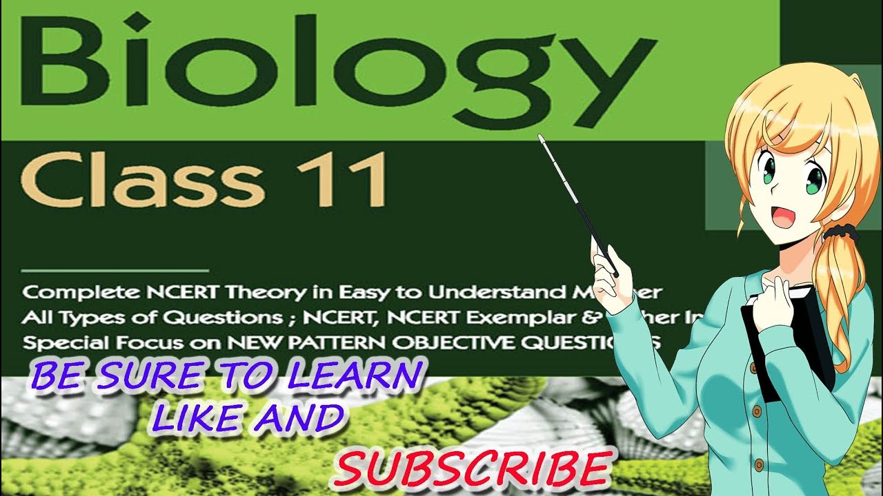 Biology Chapter 15 Plant Growth & Development part 13 Abscisic Acid CBSE class 11 XI  720 X 1280