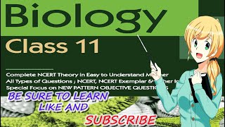 Biology Chapter 15 Plant Growth & Development part 13 Abscisic Acid CBSE class 11 XI  720 X 1280