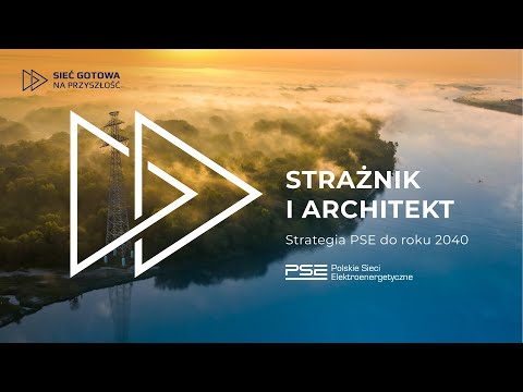 Strategia PSE do roku 2040