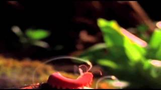 la vida es sagrada y todo lo que la realiza como la misma tierra, agua y viento nos muestran la pure