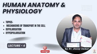 MECHANISM OF TRANSPORT | DEPOLARISATION | REPOLARISATION | HYPERPOLARISATION |HAP| PHARMA DECODED|